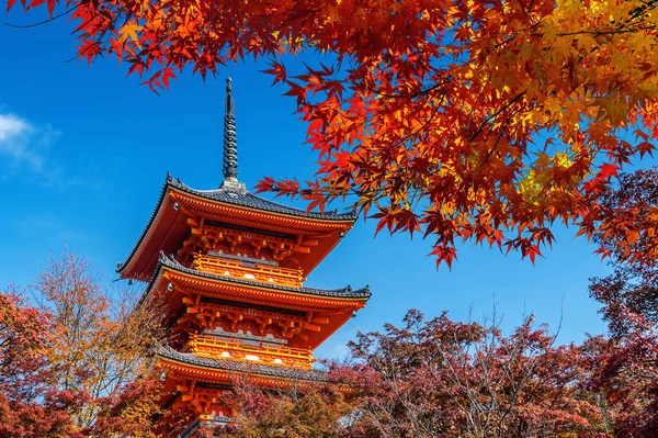 日本京都，秋天的红塔和枫树. — 图库照片