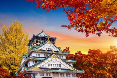 Osaka, Japonya 'da Sonbahar Mevsimi ve Kale.