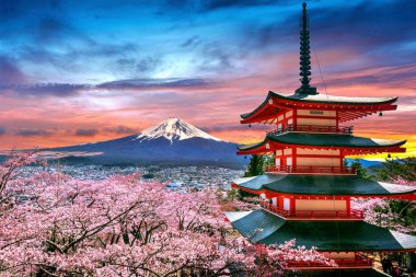 Baharda kiraz çiçekleri, Japonya 'da Chureito pagoda ve Fuji dağı gün batımında..