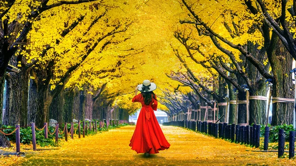 Sonbaharda sarı ginkgo ağacında yürüyen güzel bir kız. Tokyo, Japonya 'da sonbahar parkı.