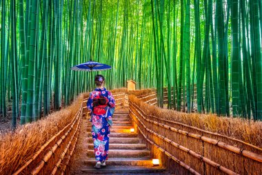 Bambu Ormanı. Japonya 'nın Kyoto kentindeki Bambu Ormanı' nda geleneksel Japon kimonosu giyen Asyalı kadın..