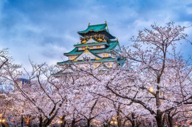 Japonya, Osaka 'da kiraz çiçekleri ve şato.