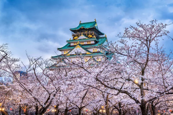 日本大阪的樱花和城堡. — 图库照片