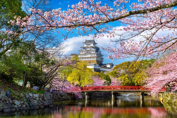 Himeji kiraz çiçekleri ve kale, Japonya.