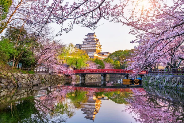 Flores de cerejeira e castelo em Himeji, Japão . — Fotografia de Stock