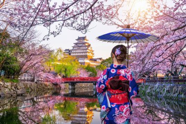 Japon geleneksel kimonosu giyen Asyalı kadın Himeji, Japonya 'da kiraz çiçeklerine ve şatoya bakıyor..