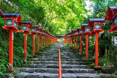 Kifune Tapınak, Kyoto Japonya'da geleneksel kırmızı ışık Kutbu'nda.