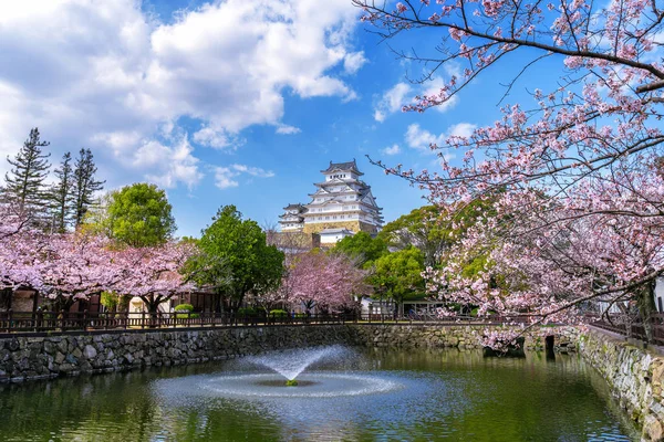 Flores de cerejeira e castelo em Himeji, Japão . — Fotografia de Stock