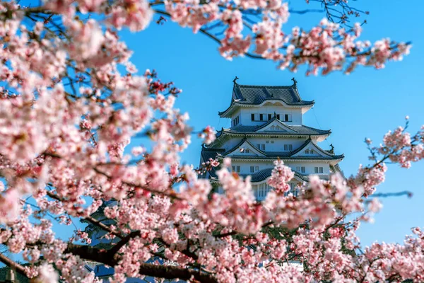 姫路の桜と城. — ストック写真