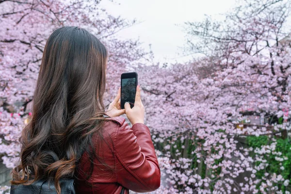 Frau fotografiert Kirschblüte entlang des Meguro-Flusses in Tokio, Japan. — Stockfoto