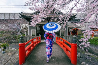 İlkbaharda Japon geleneksel kimono ve kiraz çiçeği giyen Asyalı kadın, Japonya'da Kyoto tapınağı. 