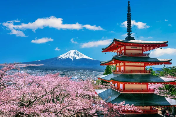 Flores Cereja Primavera Pagode Chureito Montanha Fuji Japão — Fotografia de Stock