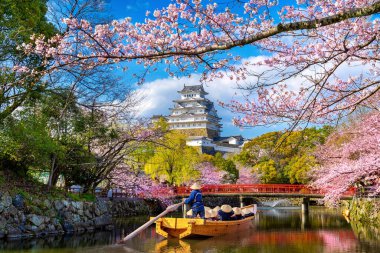 Himeji kiraz çiçekleri ve kale, Japonya.