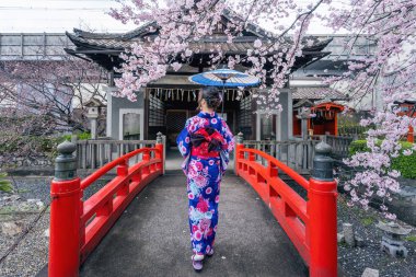 İlkbaharda Japon geleneksel kimono ve kiraz çiçeği giyen Asyalı kadın, Japonya'da Kyoto tapınağı. 