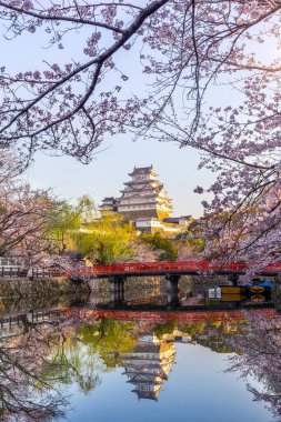 Himeji kiraz çiçekleri ve kale, Japonya.