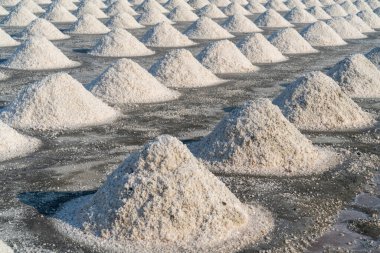 Tuz tarlasında tuz hasat için hazır, Tayland.