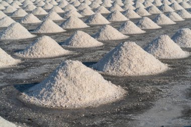 Tuz tarlasında tuz hasat için hazır, Tayland.
