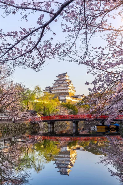 Třešňové Květy Hrad Himeji Japonsko — Stock fotografie
