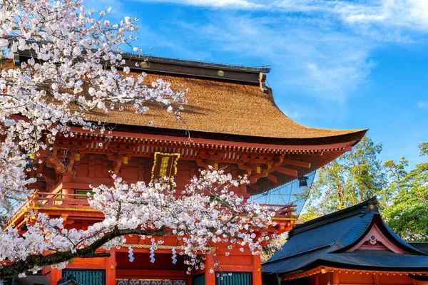 Japonya Tapınağı Kiraz Çiçekleri Ilkbaharda Japonya — Stok fotoğraf