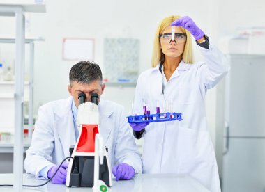 Laboratuvarda çalışan bilim adamları