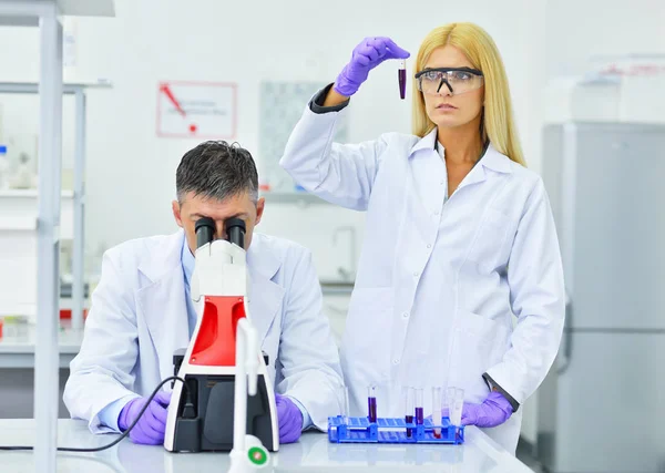 Forskare som arbetar i laboratorier — Stockfoto