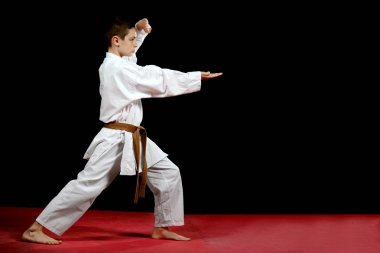 karate kata egzersizleri eğitim sırasında beyaz kimono içinde küçük bir çocuk
