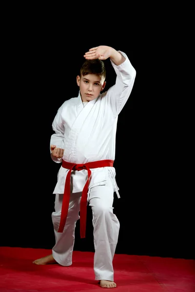 Niño Pequeño Kimono Blanco Durante Los Ejercicios Kata Karate Entrenamiento — Foto de Stock