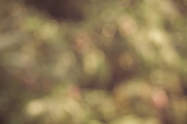 Bokeh arka plan, yeşil soyut renkli ufuk daire