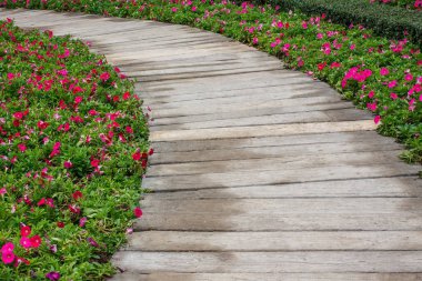  Çiçek Bahçesi ile dolu Parkta yürümek