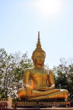  Tayland, arka plan altın buddha