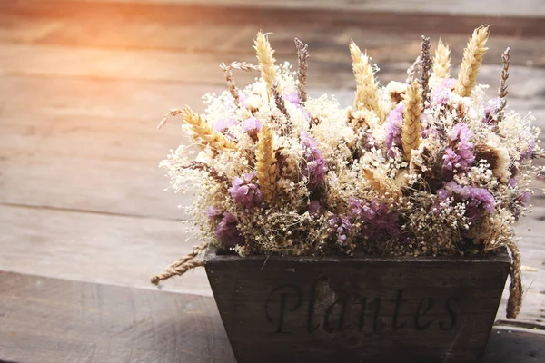 Virág csokor, az évjárat asztalon, mini növény-évjárat háttér Stock Kép