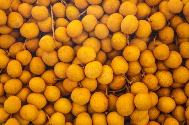 Longan meyve Market Tayland