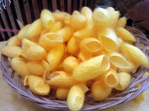 Muchos gusanos de seda amarillo de fondo —  Fotos de Stock