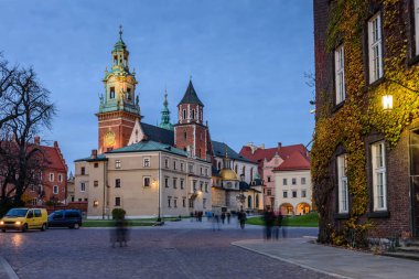 Wawel Kalesi katedralde