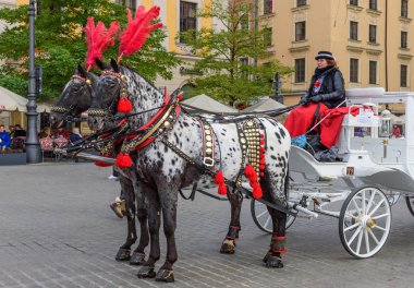 At arabası Krakow ana Meydanı.