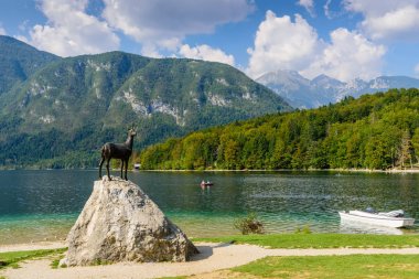 Pitoresk göl Bohinj
