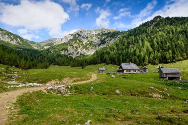 Güzel dağ manzarası. Milli Parkı Triglav Slovenya.