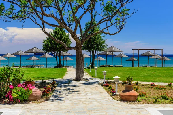 Samos, Yunanistan Yunan Adası'nın kıyısında pitoresk plaja.