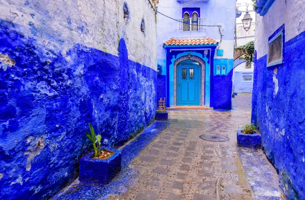 Chefchaouen Marocco Dicembre 2018 Visita Del Marocco Bella Medina Blu — Foto Stock