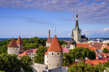 Estonya 'nın Tallinn Eski Kasabası Havadan Görünümü. Şehrin klasik Iconic manzarası. Tallinn Şehir Duvarı