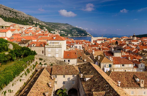 Passeios Turísticos Croácia Cidade Dubrovnik Dubrovnik Cidade Velha Uma Bela — Fotografia de Stock