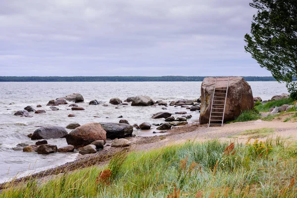 Kaya Parçaları Kasmu Köyü Lahemaa Ulusal Parkı Estonya — Stok fotoğraf