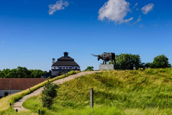 Rakvere Estonsko Června 2019 Prohlídka Estonska Panoramatický Výhled Býčí Sochu — Stock fotografie