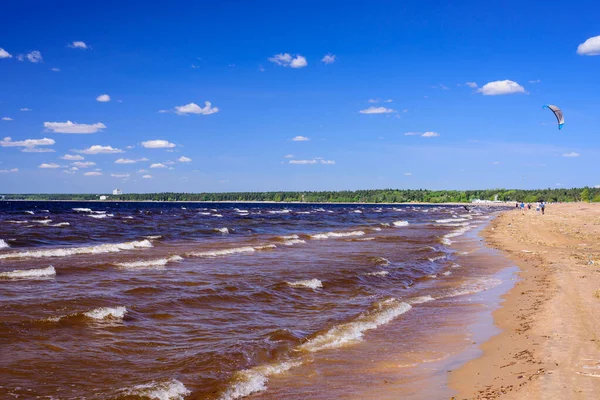 Baltık Denizi Yazın Finlandiya Körfezi Ndeki Picturesque Plajı Petersburg Rusya — Stok fotoğraf