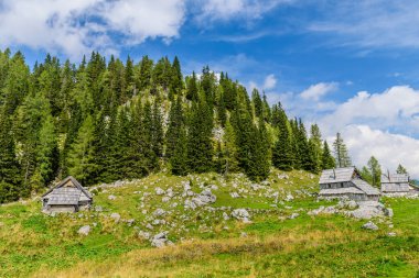 Dağdaki geleneksel ahşap kulübe, Visevnik planina, turizm merkezi, Slovenya.