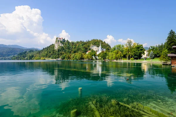 Bled Şatosu ve pitoresk göl Slovenya 'nın popüler bir turizm merkezi olan Bled.