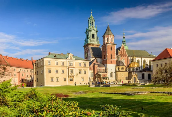 St. Stanislaw Katedrali ve St. Vaclav ve güneşli bir günde Wawel Tepesi 'ndeki kraliyet kalesi, Krakow, Polonya.