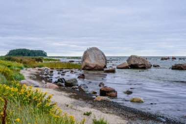 Kaya parçaları, Kasmu köyü, Lahemaa Ulusal Parkı, Estonya