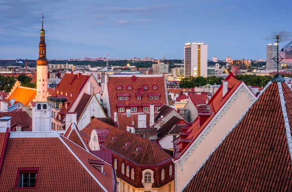 에스토니아 2019 에스토니아의 도시화 아름다운 — 스톡 사진