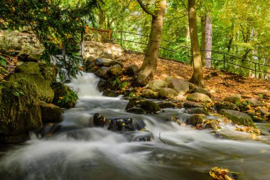 Oliwa Park, Gdansk, Polonya 'da küçük manzaralı şelale (uzun pozlama)